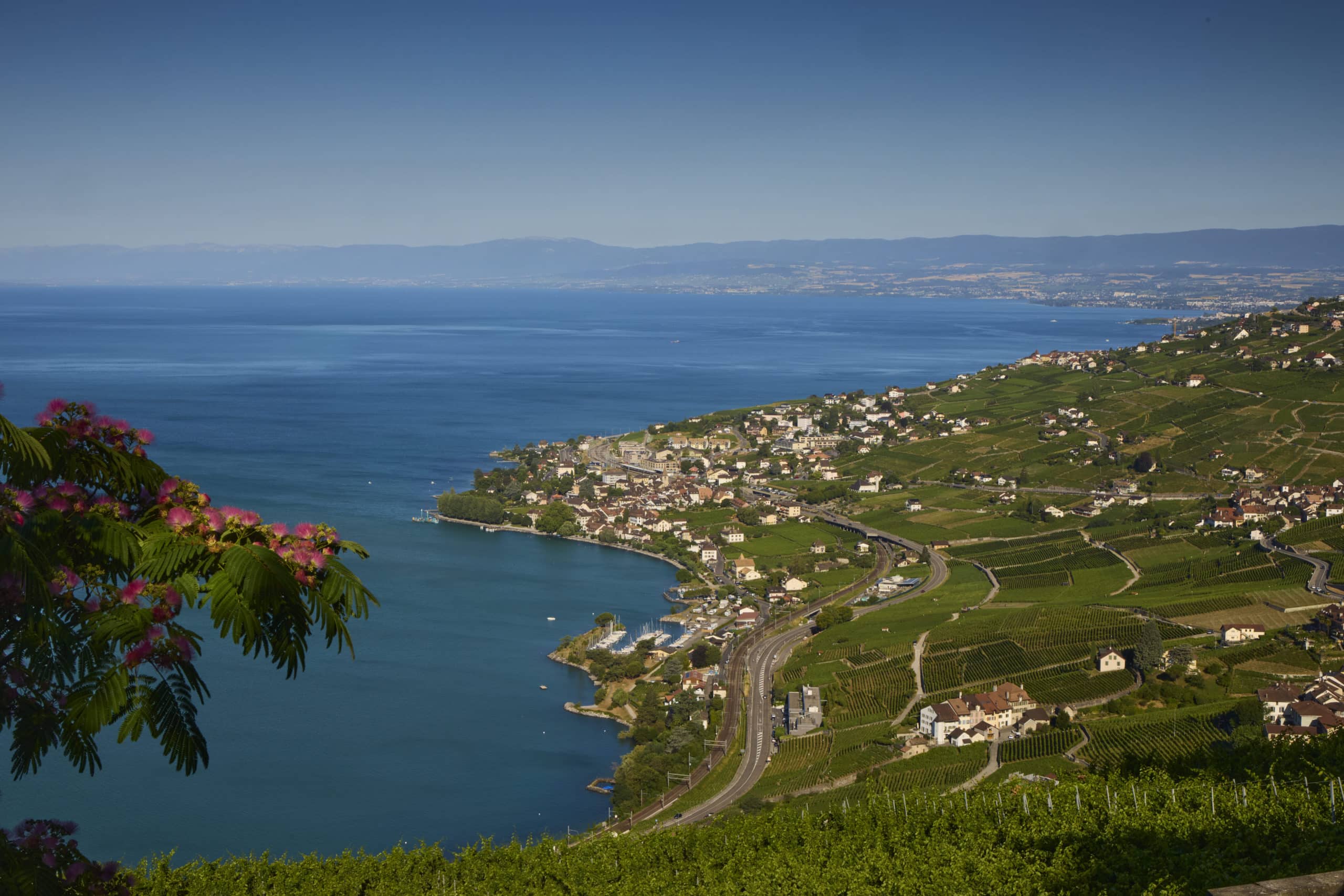 DYN - Fiduciaire Lausanne
